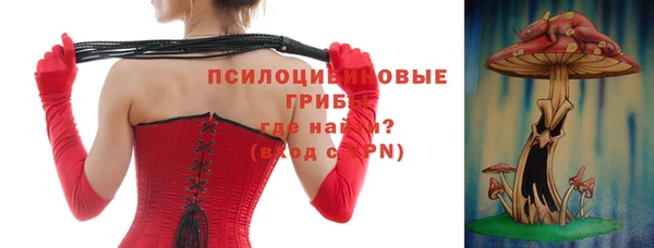СК Горняк