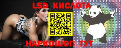 бошки Ливны