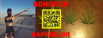 мяу мяу мука Лесосибирск