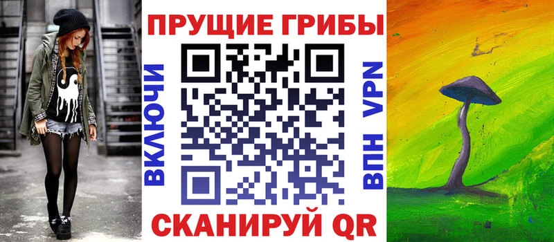 мега вход  дарнет шоп  Геленджик  Галлюциногенные грибы Psilocybe 