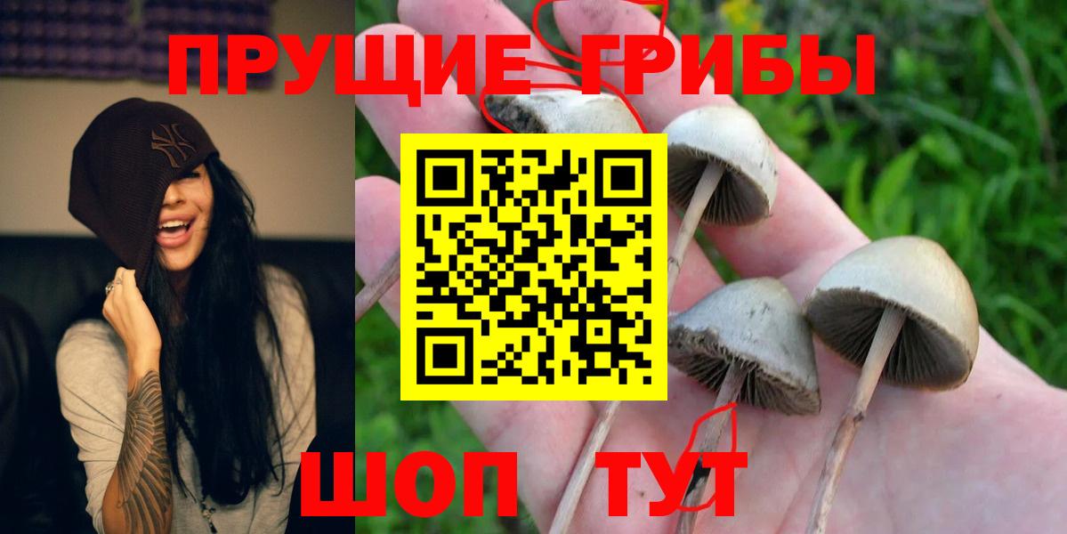 Галлюциногенные грибы MAGIC MUSHROOMS Геленджик